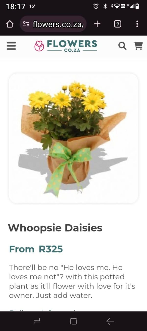 Basket Mix Flowers 1 - Image 18