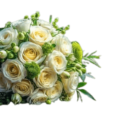 Amure White Roses Bunch