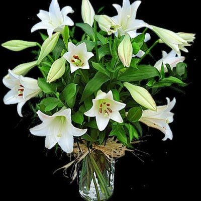 Chams Chique in Vase